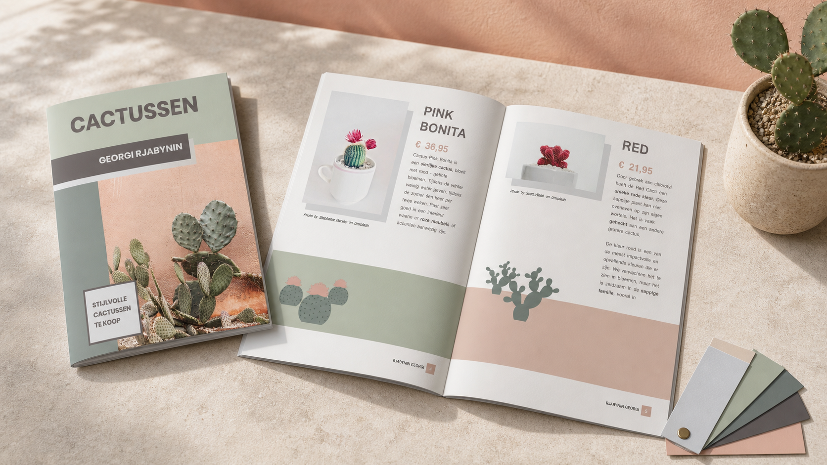 Cactus leaflet, uitgelicht projectbeeld